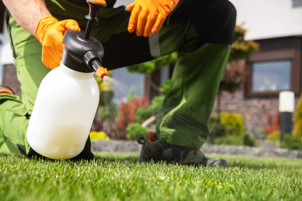 Best Best Pest Control Companies  in Canton, MS