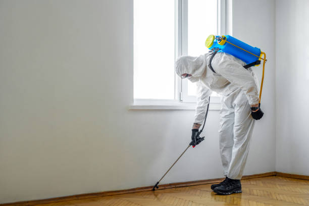 Best Best Pest Control Companies  in Canton, MS